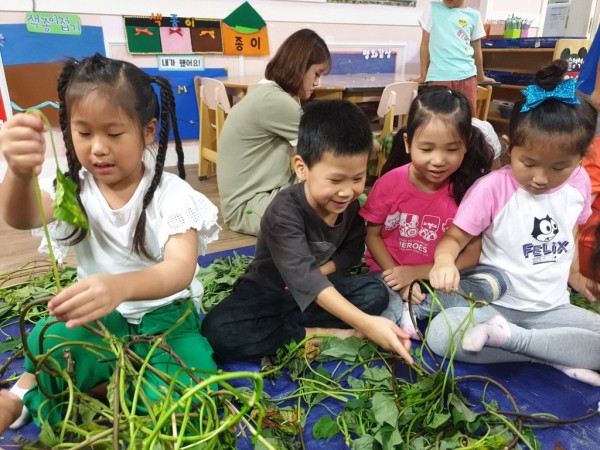 25132d4a3d1d9b51f98151c69fa45c76_1572497