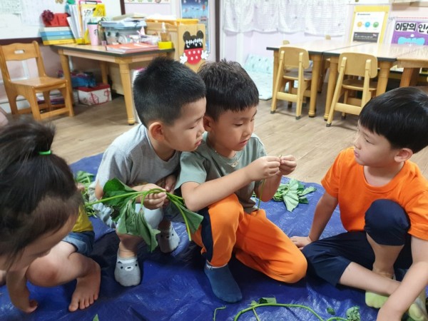 25132d4a3d1d9b51f98151c69fa45c76_1572497