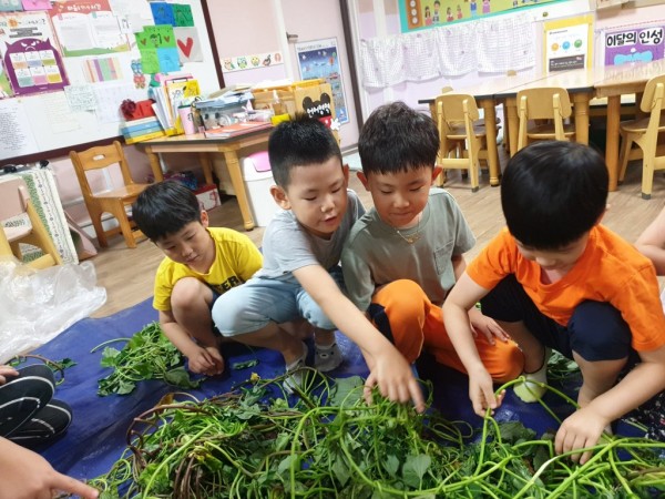 25132d4a3d1d9b51f98151c69fa45c76_1572497