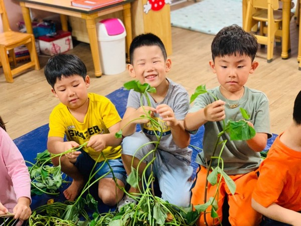 25132d4a3d1d9b51f98151c69fa45c76_1572497