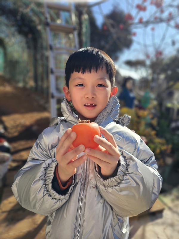 b9782d5faf91c844aa0d1a723ed71968_1778127